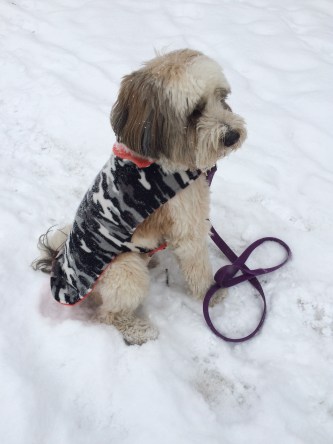 Max in snow
